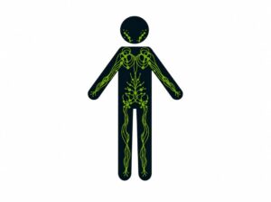 https://migalblog.com/wp-content/uploads/lymph-body.jpg